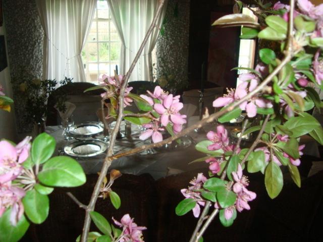 Guest house 44 On Ennis Guest And Restaurant - No Load Sheddding Ermelo